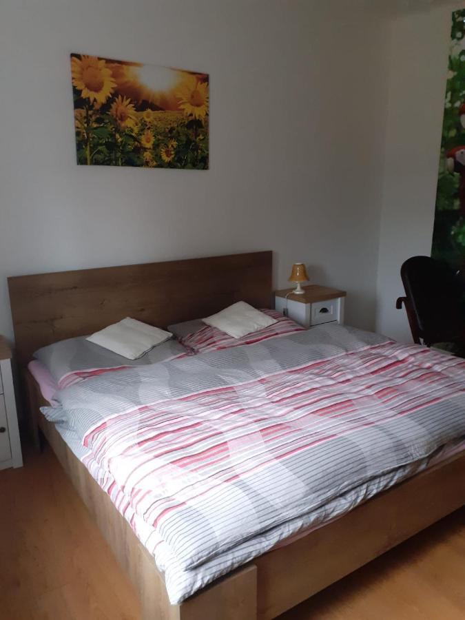 Apartman Ema Sloup  Ngoại thất bức ảnh